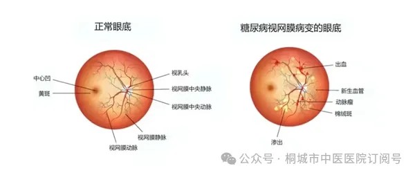 7b817ed7d705ac75c6c8c992c82e546.png